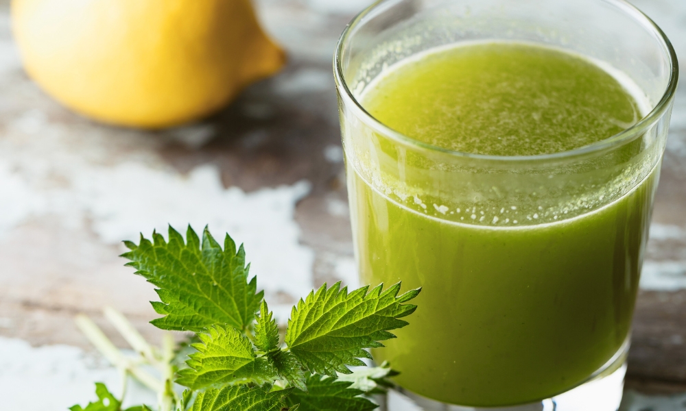 sirup od koprive i limuna