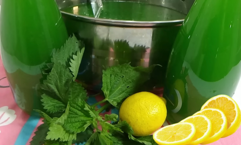 sirup od koprive i limuna